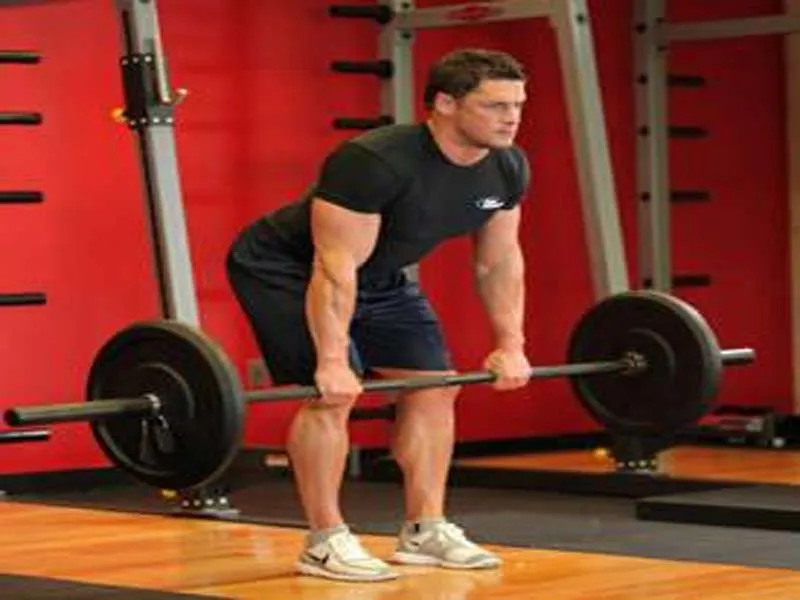 List of 10 Bodybuilding Exercises, You Must follow as a Beginner 2 List of 10 Bodybuilding Exercises, You Must follow as a Beginner 2
