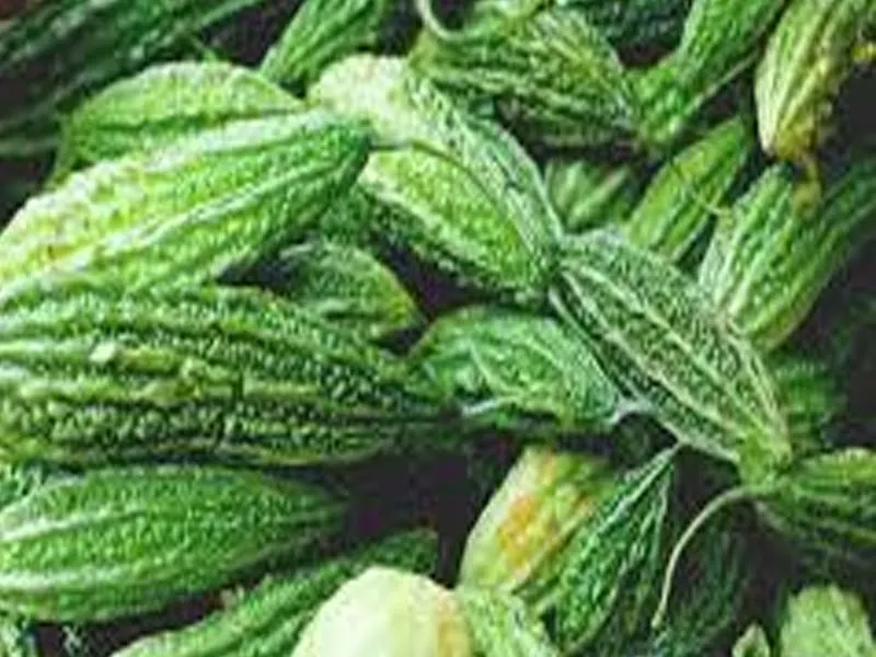 List of Best Indian Vegetables for Weight Loss 1