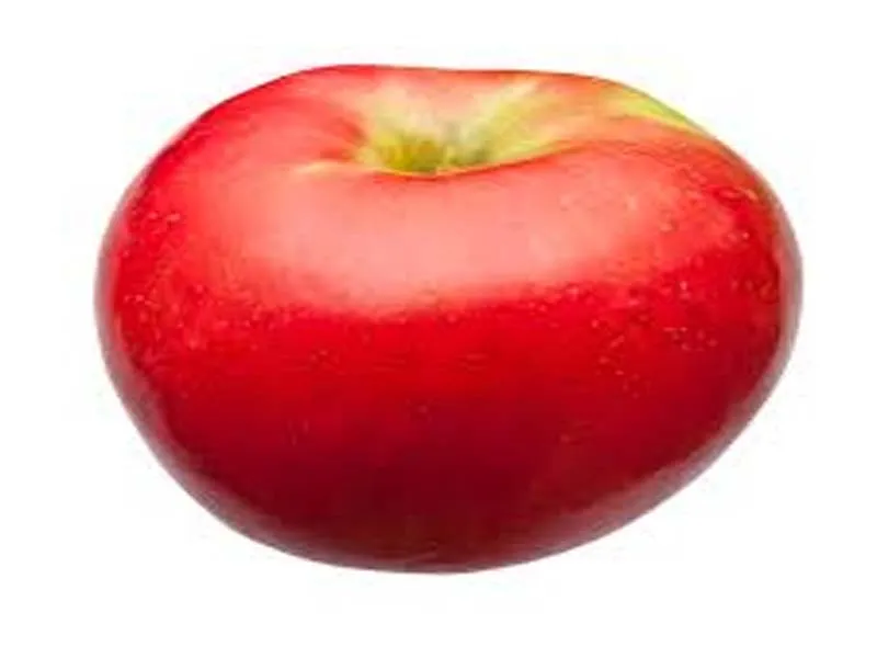 List of Essential Diet Friendly Food, Must Have in Fridge [India] 1