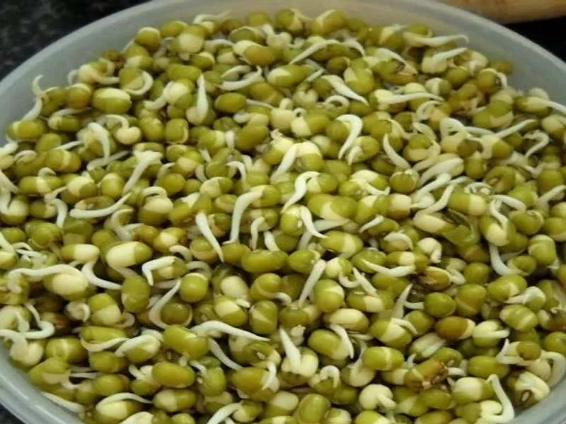 List of Essential Diet Friendly Food, Must Have in Fridge [India] 9