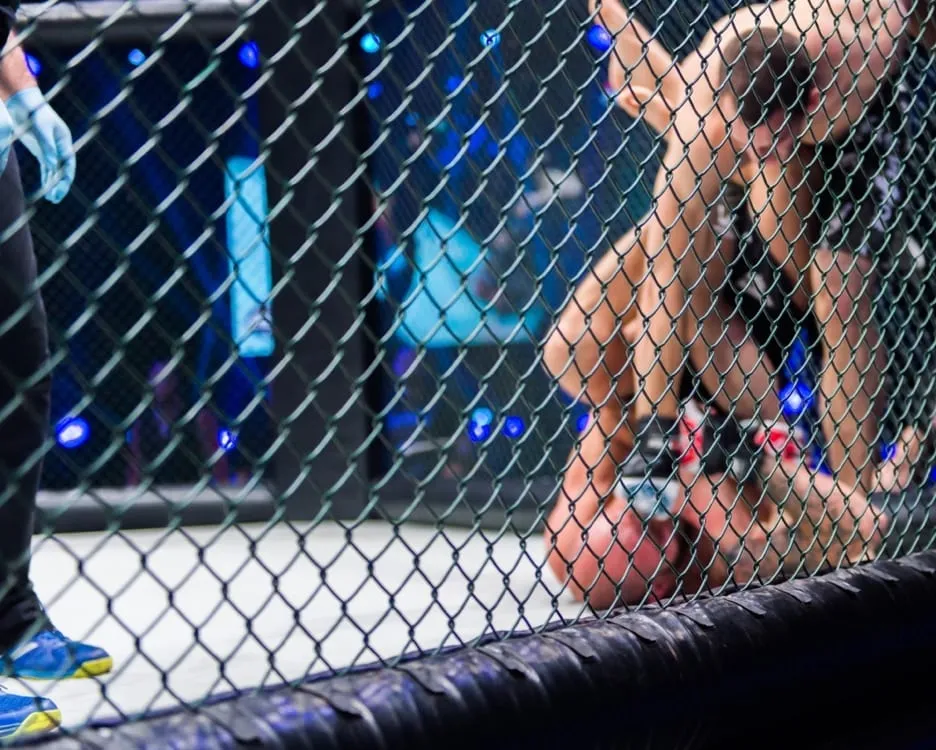 Essential Equipment That Every Gym Should Have Available 3 Punching Bags
