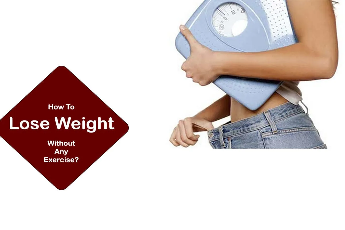Lose weight without exercise
