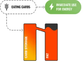 How to Burn Fat - Tips by GuruMann 2 body burn fat