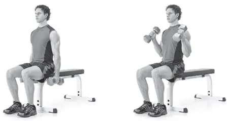 Seated Hammer Curls - Build Biceps Fast Seated Hammer Curls - Build Biceps Fast