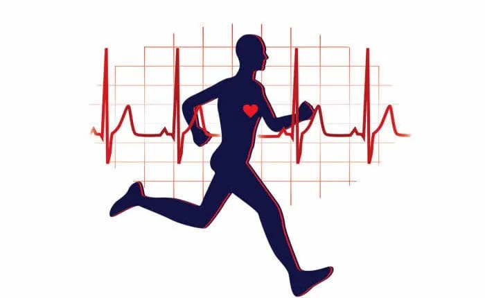 cardio exercises cardio exercises