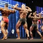 IFBB championship