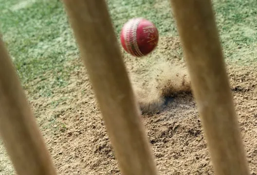 Mental Health of English Cricket Team?