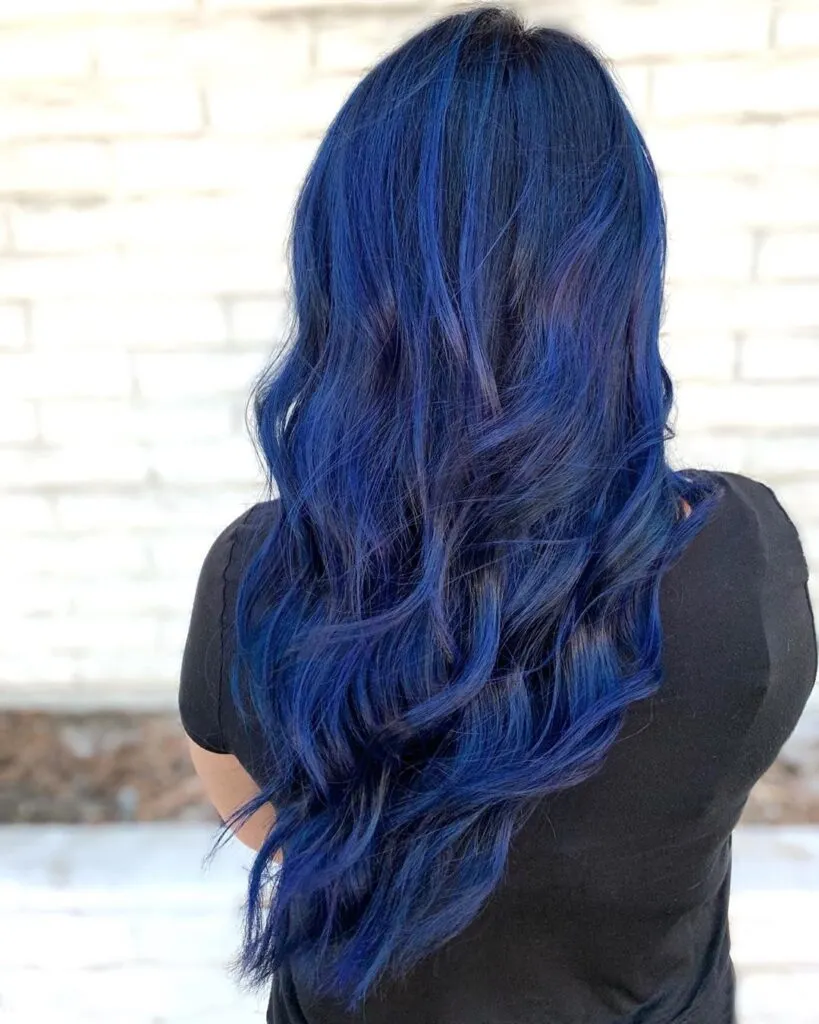 Gorgeous Blue Hair Color Ideas - Inspired by the Instagrammers 8 Midnight Blue Hair Back Pose - Gorgeous Blue Hair Color Ideas