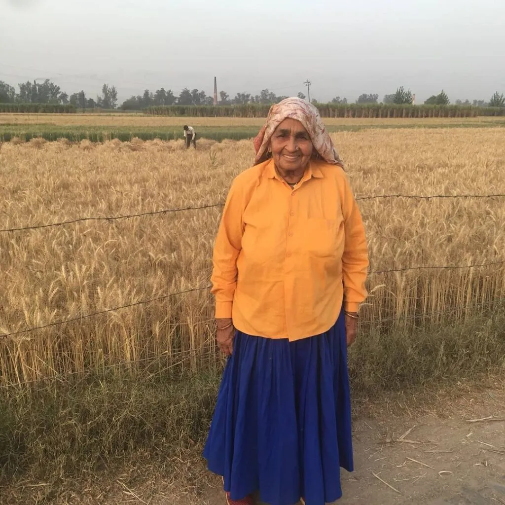 Shooter dadi Chandra Tomar posing in fields - indian celebrities death in 2021