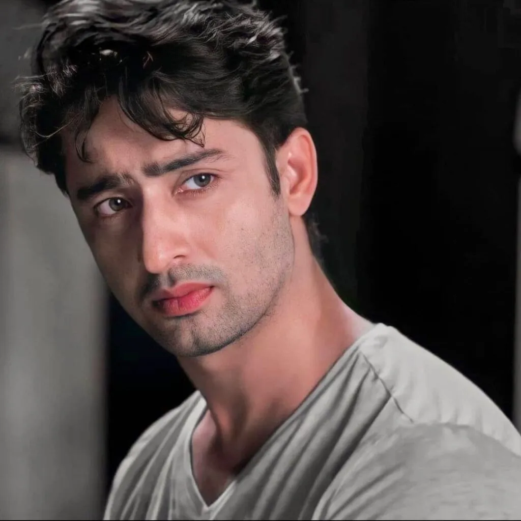 Shaheer Sheikh is giving a side pose Shaheer Sheikh is giving a side pose - hottest television actor