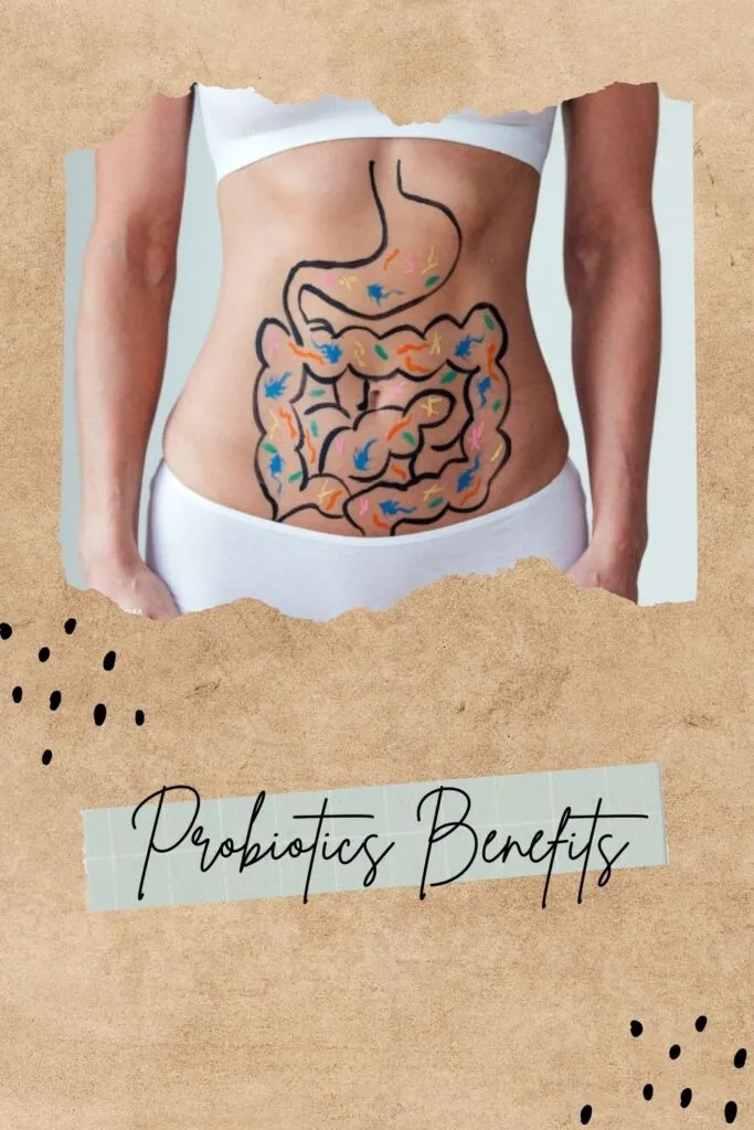 Probiotics work process in your gut Probiotics work process in your gut - Probiotics