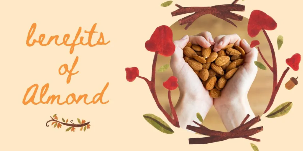 Benefits of Almonds for Skin, Hair and Health