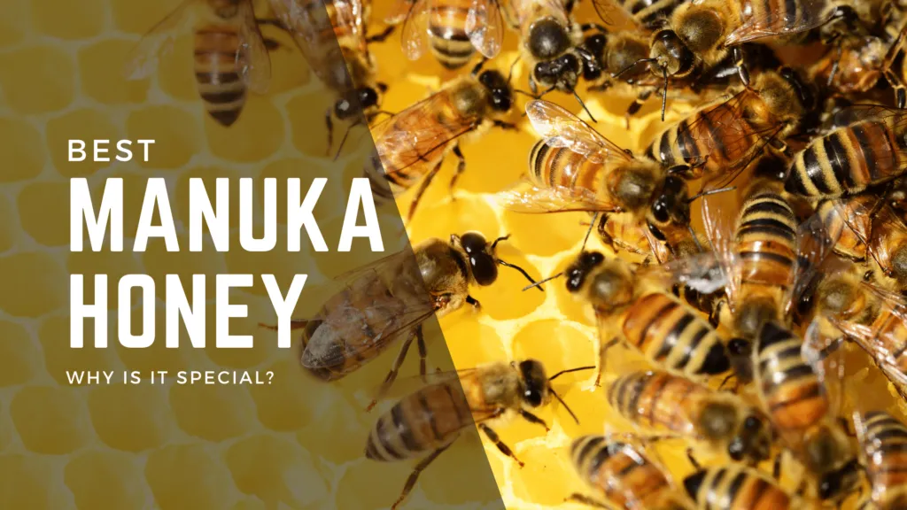 What is Manuka Honey & Why Is It Special?