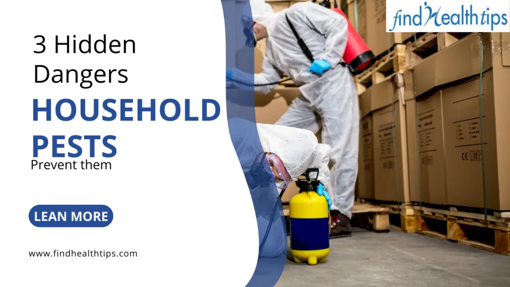 The Hidden Dangers Behind 3 Common Household Pests (And How to Prevent Them to Begin With)