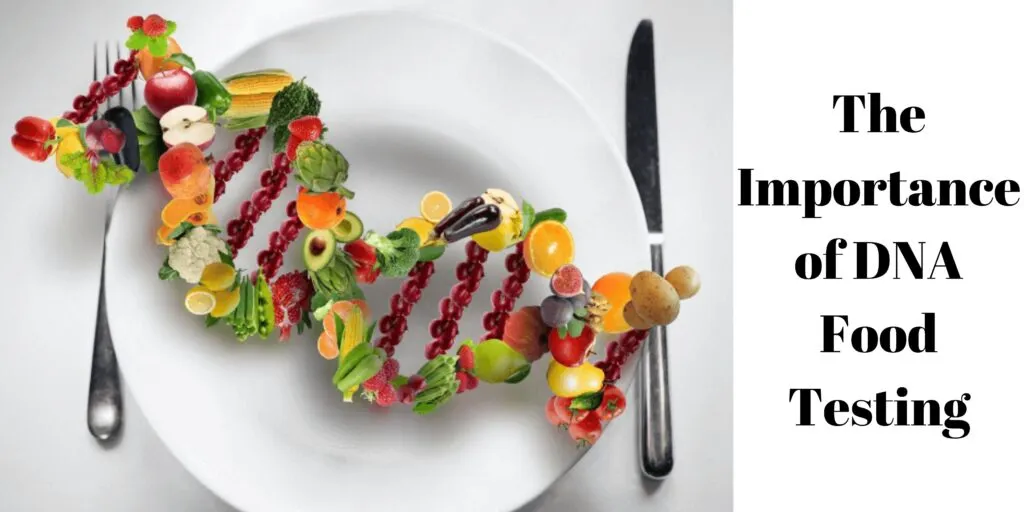 The Importance of DNA Food Testing
