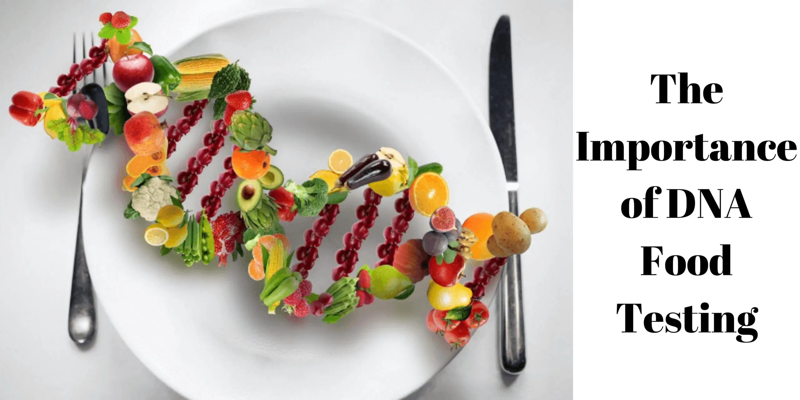 <strong>The Importance of DNA Food Testing</strong> The Importance of DNA Food Testing