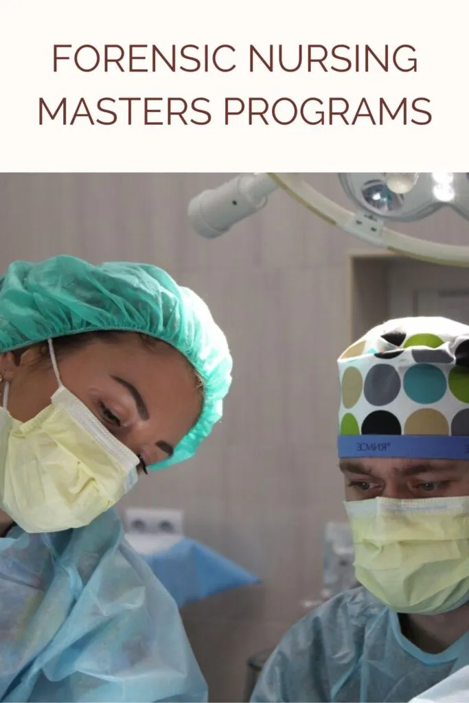 A doctor and a nurse discussing something A doctor and a nurse discussing something - Forensic Nursing Masters Programs