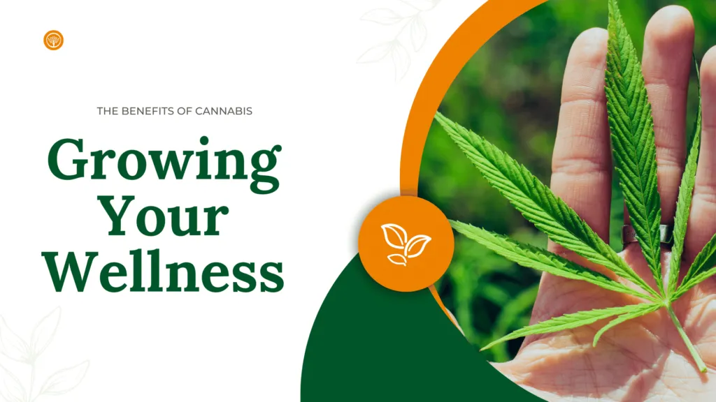 Growing Your Wellness: The Benefits of Cannabis For Sale Today