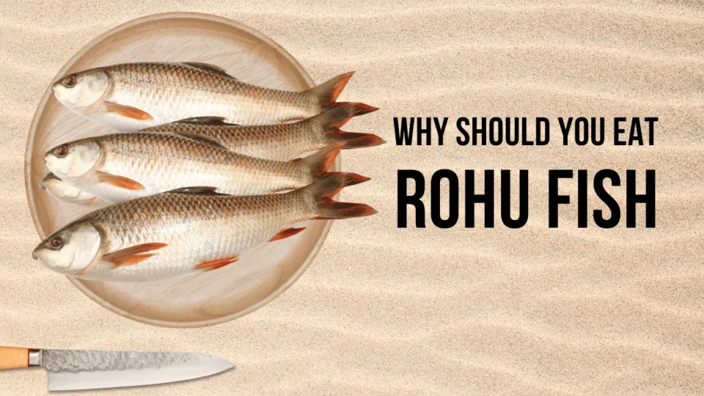 Why Should You Eat Rohu Fish: Rohu Fish Benefits