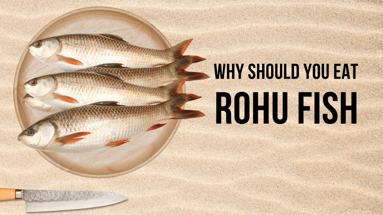 Why Should You Eat Rohu Fish: Rohu Fish Benefits 4 Why should you eat rohu fish? Rohu Fish Benefits