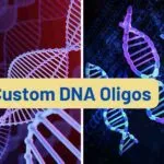 Custom DNA Oligos