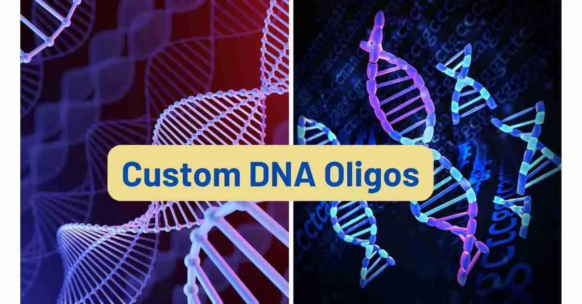 Essential Concepts of Custom DNA Oligos in Molecular Biology and Health Diagnostics 1 Custom DNA Oligos
